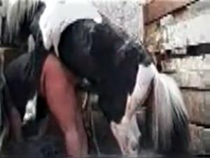 Canine debauchery: favorite slavery