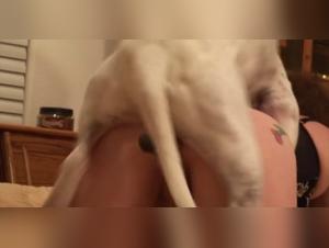 Canine Debauchery: Merciless Fuck with Dog