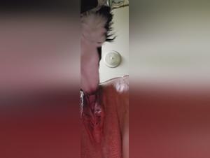 Canine debauchery: raw power and wild delights