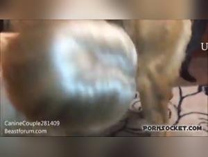 Canine Debauchery: Summer Explodes Her Desires