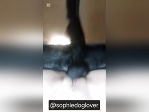 Canine Debauchery: The Knot Animal in Action