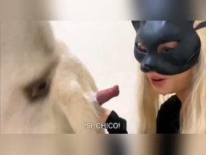 Canine Debauchery: The Wildest XXX Videos