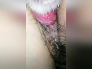 Canine Debauchery: Wild Parties and Fucks