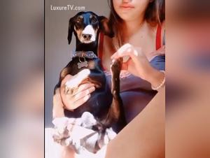 Canine delight, animal impulses