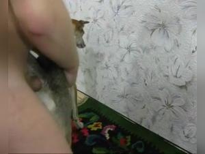 Canine Delight: Sluts and Animal Urges