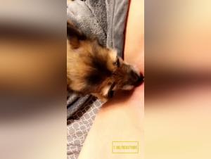 Canine Delight: Women Crowded by the Animal