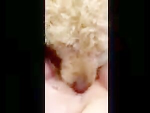 Canine delights: a satisfied mother