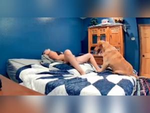 Canine Delights: Hardcore and Intensely Pulsating Animal Sex