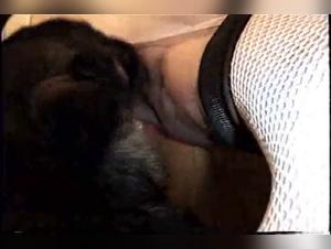 Canine Delights: Intense Licking & Animal Desire