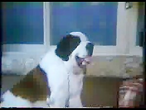 Canine Depravities - Full Movie (1986)