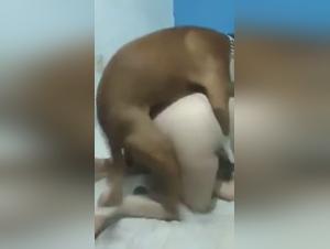 Canine depravity: Teens & Bestiality - Extreme videos