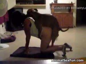 Canine desire: Bestiality without limits