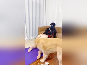 Canine dominance, Chinese amateur explored