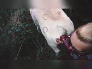 Canine domination: Incredible outdoor disclosure