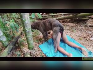 Canine domination: Leydi and its wild delights