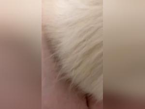 Canine Domination: Part One, Brutal Desire