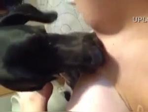 Canine Domination: The Raw Ecstasy of an Animal Fuck