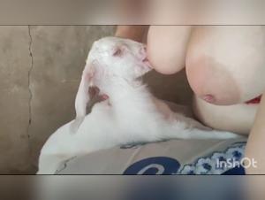 Canine Domination: Wild Delights