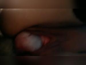 Canine Domination: Wild Spain