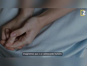 Canine fantasies: diving in zoosexuality