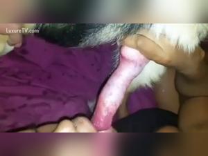 Canine fantasies, uncontrollable animal pleasure