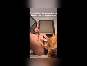 Canine fuck at home - frenzy