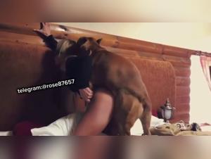 Canine fuck: wild and ruthless animal eroticism