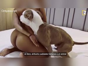 Canine fury: Spanish guide of desires