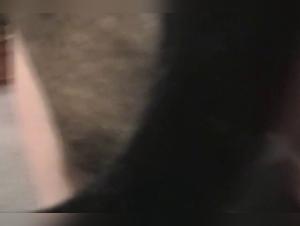 Canine incest: unlimited enjoyment