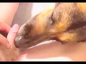 Canine intimacy: a forbidden encounter