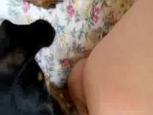 Canine orgasm, bewitched granny