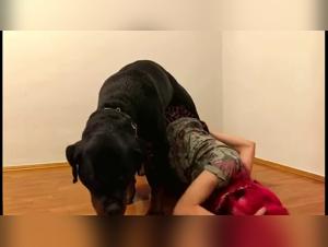 Canine orgasm: uncontrollable pink desire