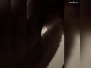 Canine orgies: Amadora reveals the flesh