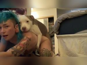 Canine orgies: Brute domination and submission