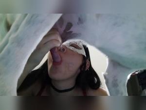 Canine orgies: raw fury and unhealthy desire