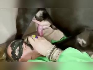 Canine orgies: wild kisses and animal impulses