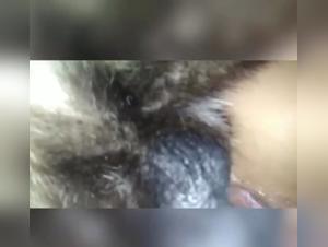 canine orgies, without restraint