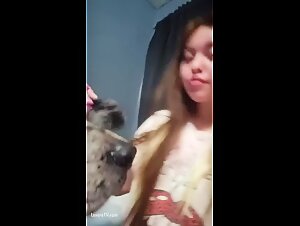 Canine orgy, wild desire