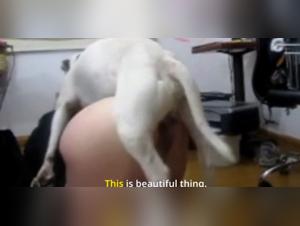 Canine submission, erotic voice and exacerbated desires