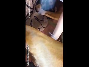 Caninecouple from Beastforum: A passionate canine couple