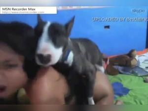 Carnivore Guilt: Animal Sexual Obsession