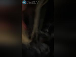 Castiah fantasies: the peak of animal pleasure