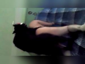 Cat Domination: Feline Madness