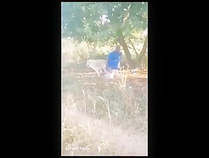 Caught in action with his dog