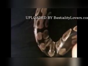 Challenge the limits: Women and Dogs Live Webcam