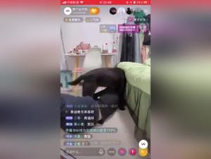 Chinese Bestial Sex: Canine Domination