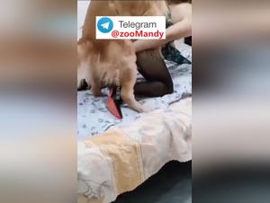 Chinese bestiality: daring fantasies