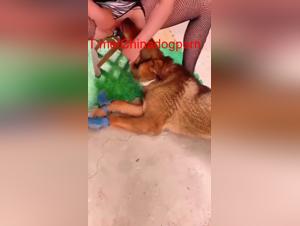 Chinese canine fuck: Limits without limits