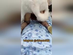 Chinese fantasies: extreme dog fuck