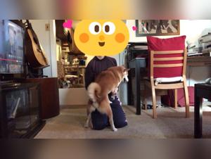 Chinese orgies: Bestiality Hardcore without filter